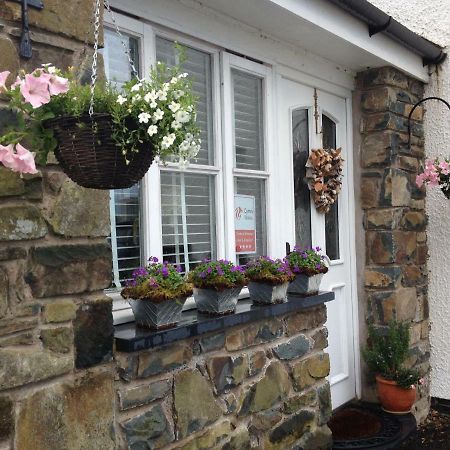 Snowdonia Snug - Studio Style Accommodation Dolgellau Eksteriør bilde