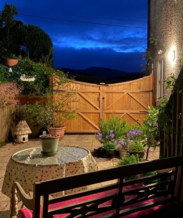 Snowdonia Snug - Studio Style Accommodation Dolgellau Eksteriør bilde