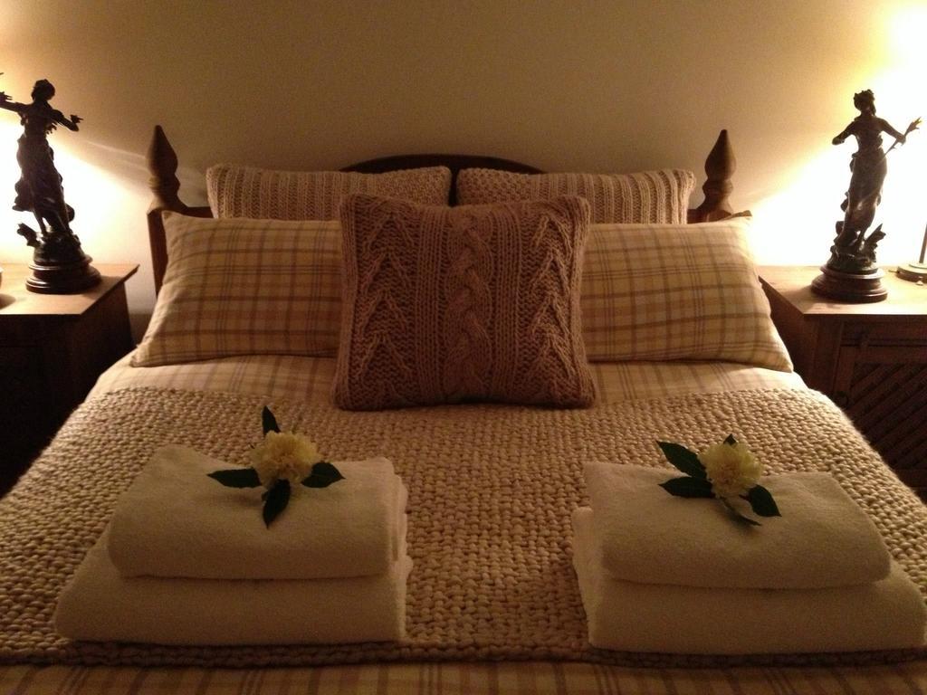 Snowdonia Snug - Studio Style Accommodation Dolgellau Eksteriør bilde