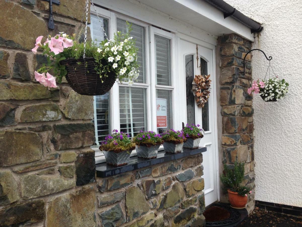 Snowdonia Snug - Studio Style Accommodation Dolgellau Eksteriør bilde